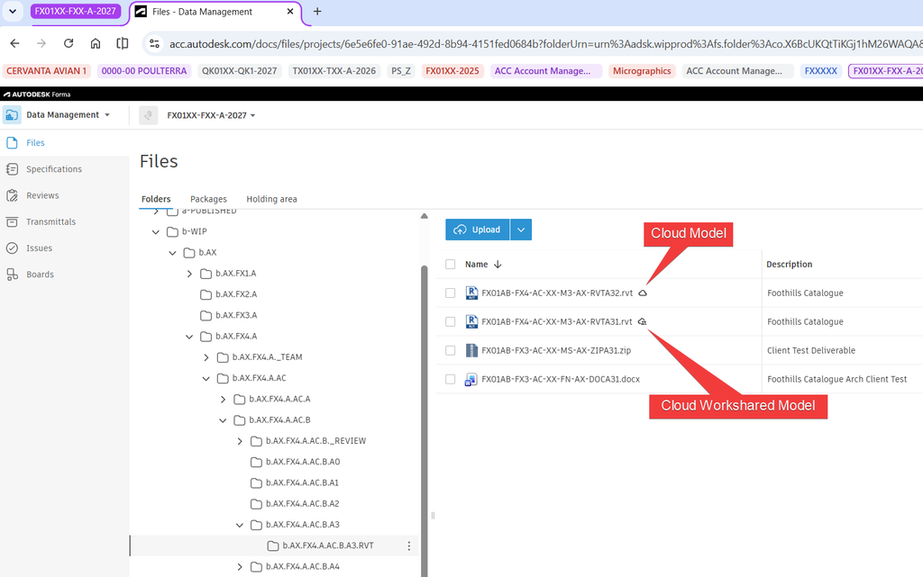 Autodesk Forma Idea - Exclude Revit Publish Sets from Package Models - 01 - Web Cloud Icons