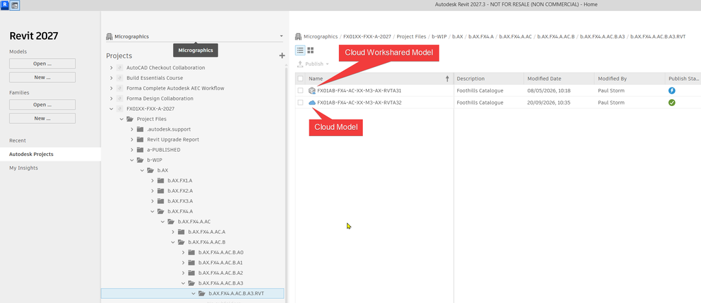 Autodesk Forma Idea - Exclude Revit Publish Sets from Package Models - 02 - Revit Cloud Icons