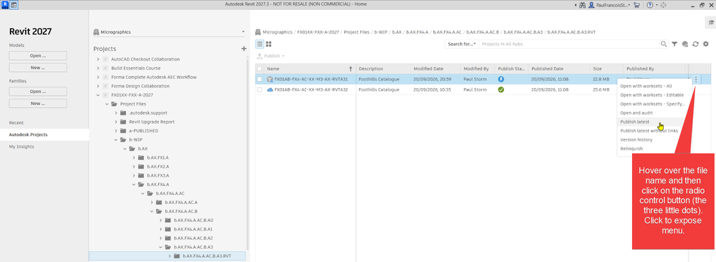 Autodesk Forma Idea - Exclude Revit Publish Sets from Package Models - 10 - Publish Model